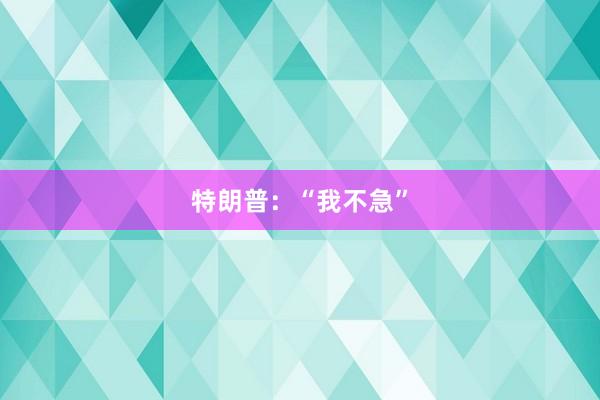 特朗普：“我不急”