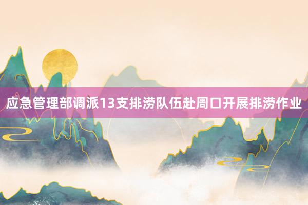 应急管理部调派13支排涝队伍赴周口开展排涝作业