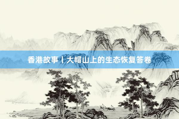 香港故事丨大帽山上的生态恢复答卷