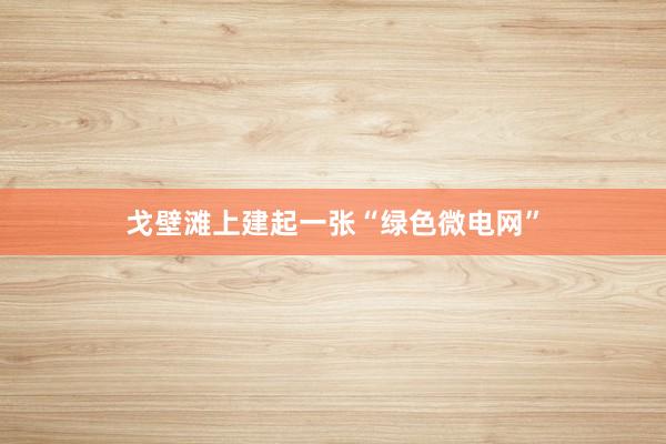 戈壁滩上建起一张“绿色微电网”