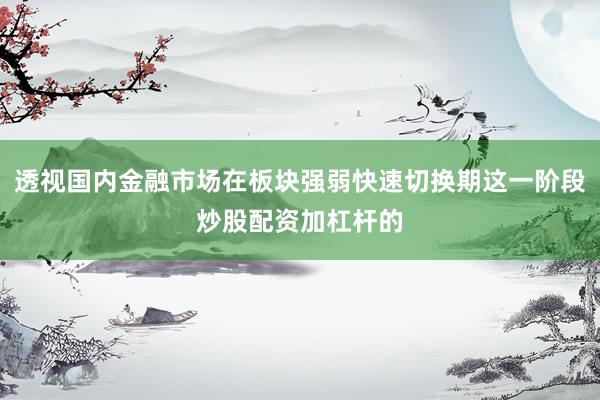 透视国内金融市场在板块强弱快速切换期这一阶段炒股配资加杠杆的