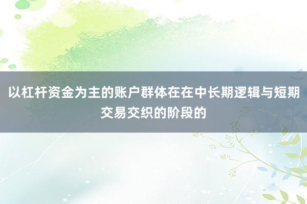 以杠杆资金为主的账户群体在在中长期逻辑与短期交易交织的阶段的