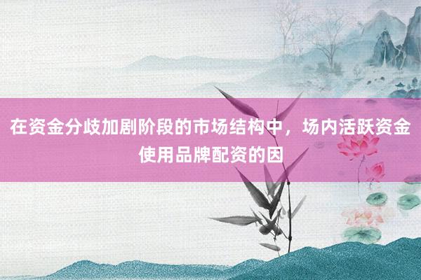 在资金分歧加剧阶段的市场结构中，场内活跃资金使用品牌配资的因