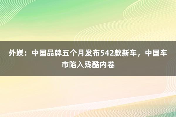 外媒：中国品牌五个月发布542款新车，中国车市陷入残酷内卷