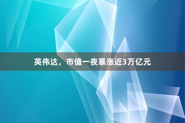 英伟达，市值一夜暴涨近3万亿元