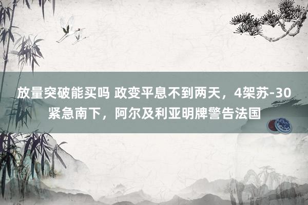 放量突破能买吗 政变平息不到两天，4架苏-30紧急南下，阿尔及利亚明牌警告法国