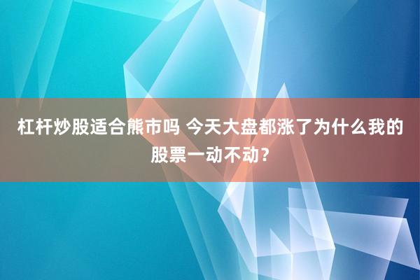 杠杆炒股适合熊市吗 今天大盘都涨了为什么我的股票一动不动？
