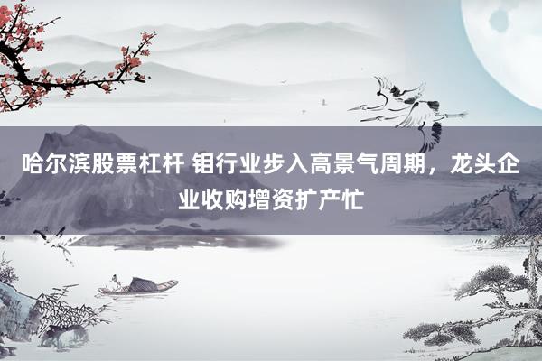 哈尔滨股票杠杆 钼行业步入高景气周期，龙头企业收购增资扩产忙