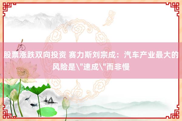 股票涨跌双向投资 赛力斯刘宗成：汽车产业最大的风险是