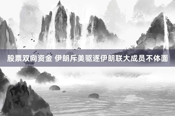 股票双向资金 伊朗斥美驱逐伊朗联大成员不体面